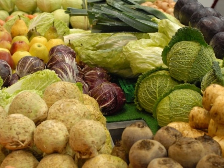 Integracja producentów rolnych w Polsce jest niezbędna